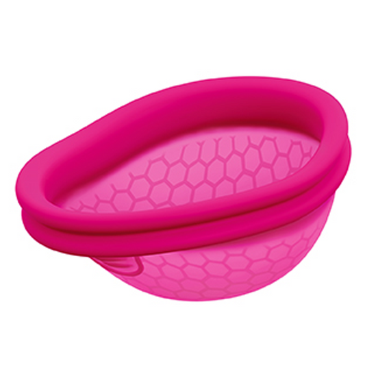 Ziggy Cup 2 Size B